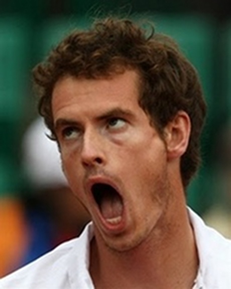 Andy Murray