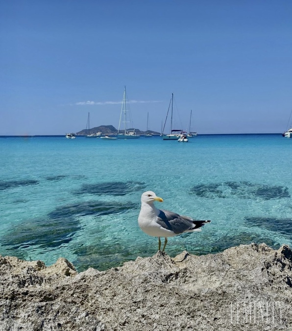 Favignana je malý Karibik Európy