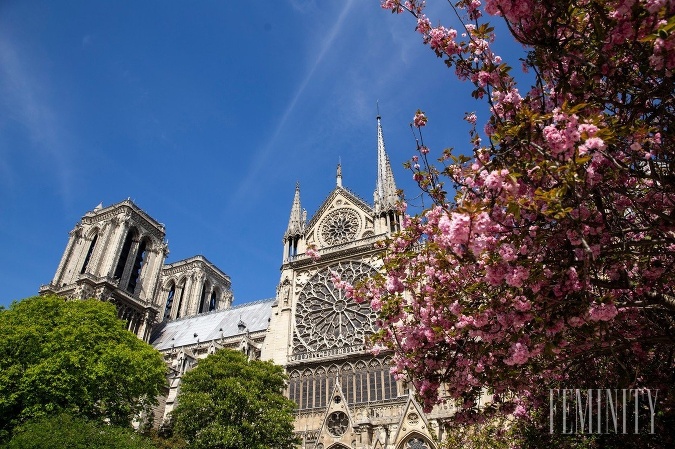 Katedrála Notre Dame pred nedávnym požiarom