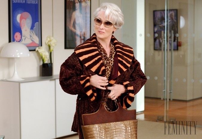 Po boku Anne hHthaway by sa mali objaviť aj jej herecké kolegyne, Meryl Streep a Emily Blunt, či dokonca aj Stanley Tucci. Po boku Anne hHthaway by sa mali objaviť aj jej herecké kolegyne, Meryl Streep a Emily Blunt, či dokonca aj Stanley Tucci.