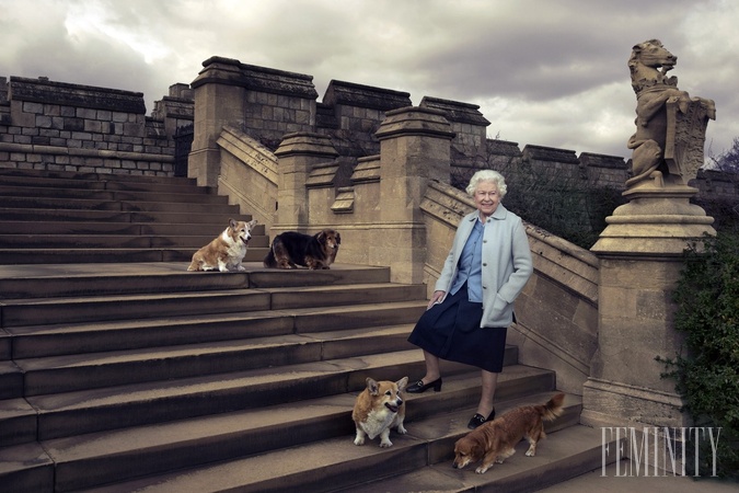Psy plemena corgi sú jedným zo symbolom britskej kráľovskej rodiny