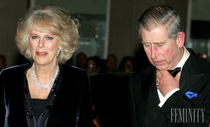 Diana a Camilla zostávajú v pamäti Britov ako dve úplne odlišné osobnosti