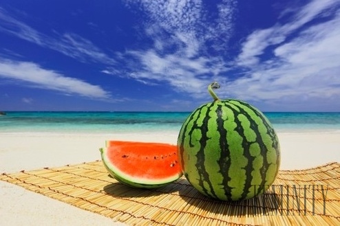 melón