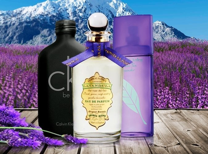 Kde zavonia levanduľa: unisex toaletná voda Calvin Klein CK Be, dámska parfumovaná voda Penhaligon´s Lavandula a toaletná voda Elizabeth Arden Green Tea Lavender Kde zavonia levanduľa: unisex toaletná voda Calvin Klein CK Be, dámska parfumovaná voda Penhaligon´s Lavandula a toaletná voda Elizabeth Arden Green Tea Lavender