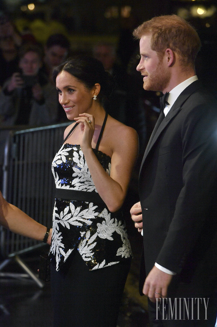 Aj princ Harry sa teší novému sviatočnému prírastku, Meghan bude dokonalým členom rodiny