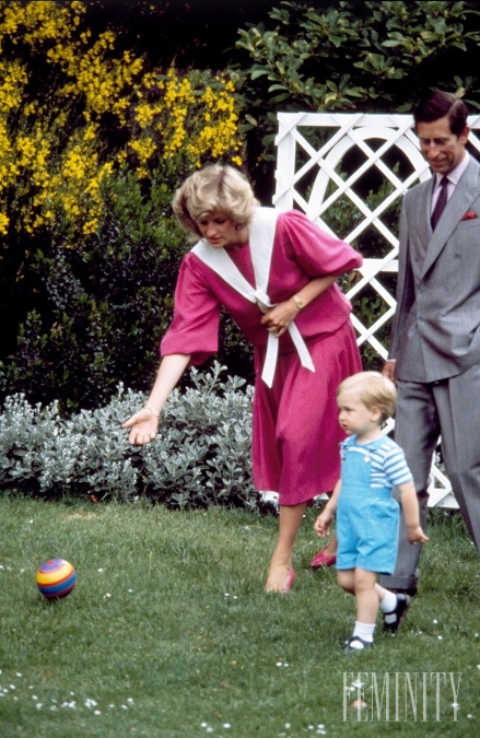 Harry a William na ňu nedali dopustiť, no kráľovná jej výchovné metódy nechápala